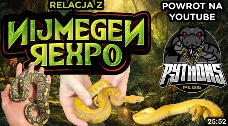 PythonsPlug wraca na youtube!